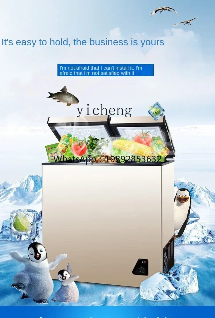Food Storage Frozen - Huishoudelijke volledig diepvries kleine mini energiezuinige