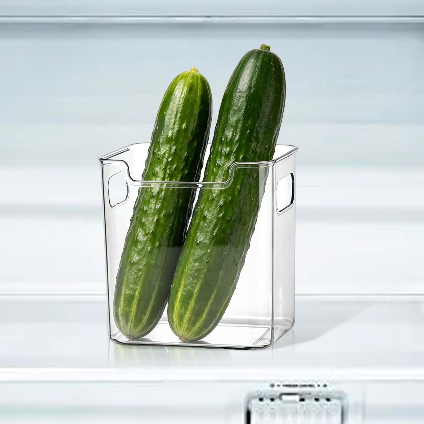 Koelkastbakken met handgrepen, - Food Storage Handling recensie en prijs