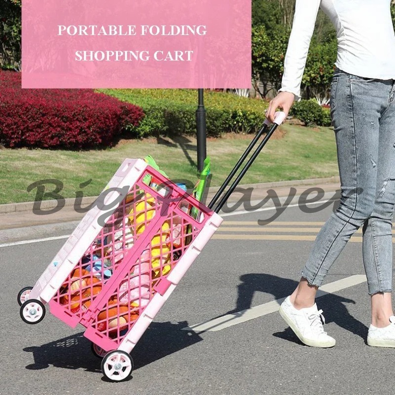 65L snel opvouwbare draagbare  - Food Storage With Wheels recensie en prijs