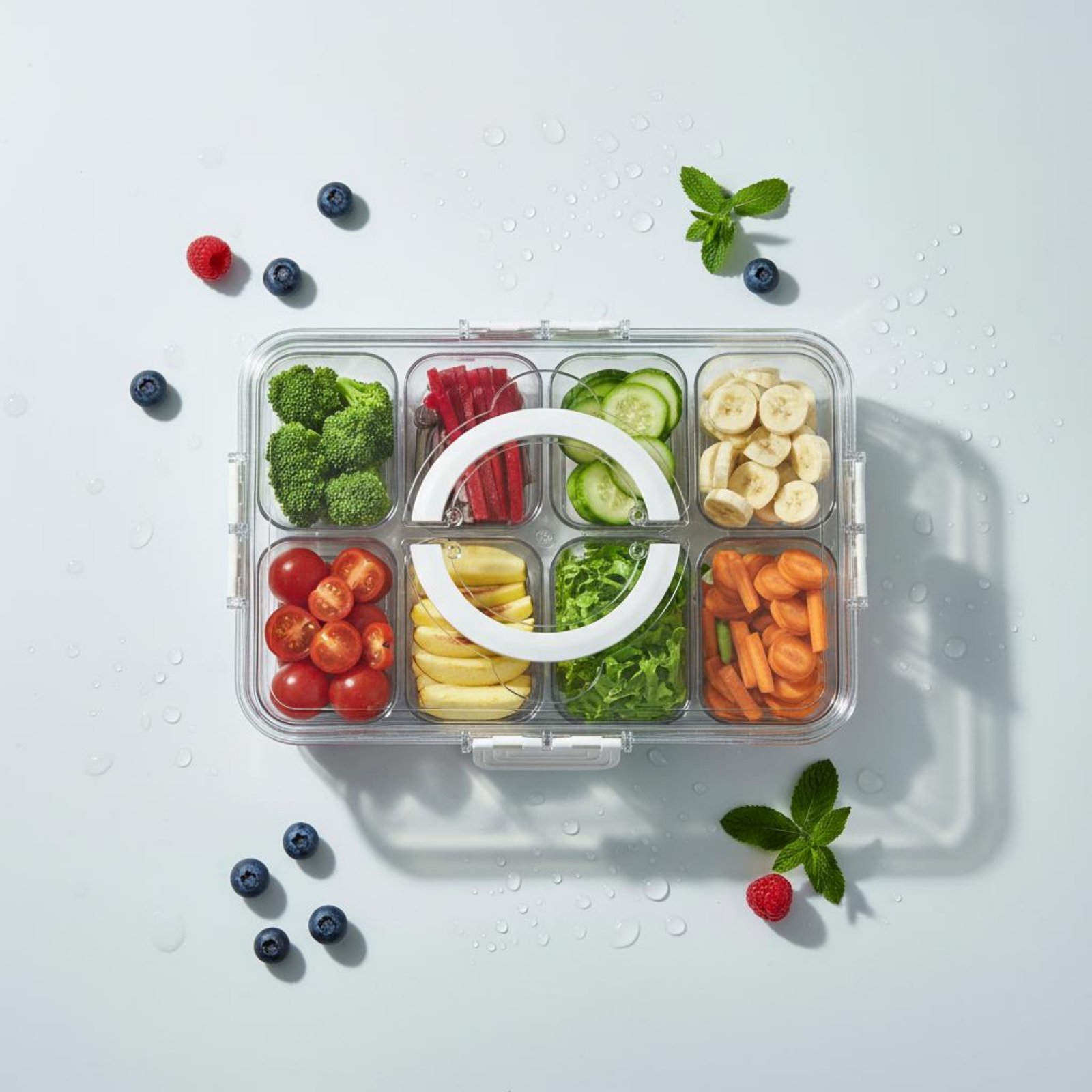 Koelkastopbergbak Drainageontw - Food Storage Design recensie en prijs